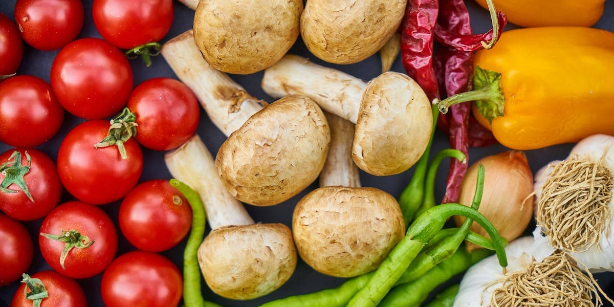 Distributeur de repas